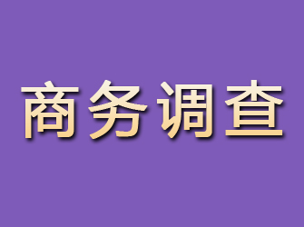 宣汉商务调查